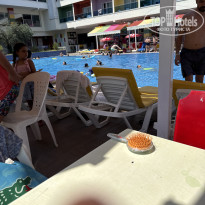 фото из отзыва ID 2719273