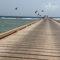 фото из отзыва ID 2719307