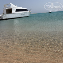 фото из отзыва ID 2719307