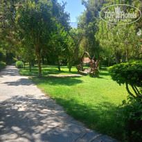 фото из отзыва ID 2719310