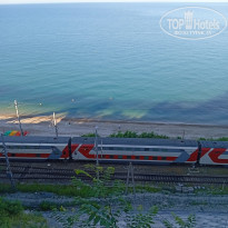 фото из отзыва ID 2719311