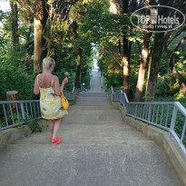 фото из отзыва ID 2719311