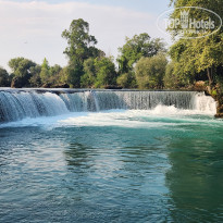 фото из отзыва ID 2719332