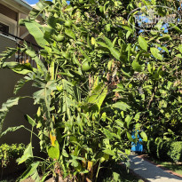 фото из отзыва ID 2719330