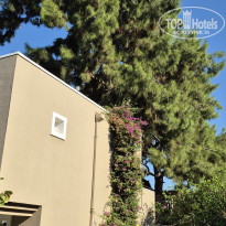 фото из отзыва ID 2719330