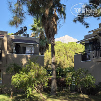 фото из отзыва ID 2719330