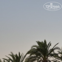 фото из отзыва ID 2719330