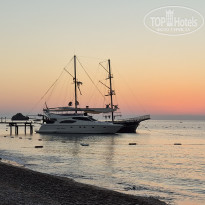 фото из отзыва ID 2719330