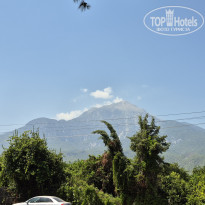 фото из отзыва ID 2719330