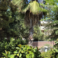 фото из отзыва ID 2719330