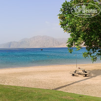 фото из отзыва ID 2719353