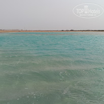 фото из отзыва ID 2719353