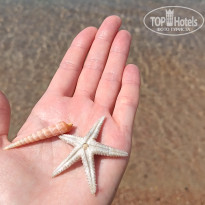 фото из отзыва ID 2719353