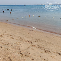 фото из отзыва ID 2719353