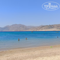 фото из отзыва ID 2719353