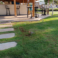 фото из отзыва ID 2719353