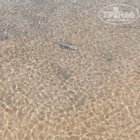 фото из отзыва ID 2719353