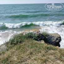 фото из отзыва ID 2719360