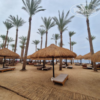 фото из отзыва ID 2719367