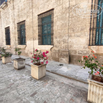 фото из отзыва ID 2719370