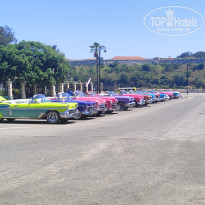 фото из отзыва ID 2719370