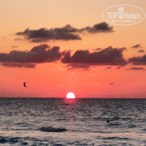 фото из отзыва ID 2719370