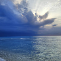 фото из отзыва ID 2719370