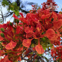 фото из отзыва ID 2719370