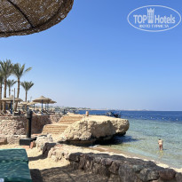 фото из отзыва ID 2719400