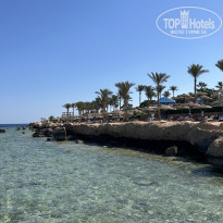 фото из отзыва ID 2719400