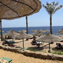 фото из отзыва ID 2719400