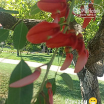 фото из отзыва ID 2719448