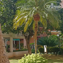 фото из отзыва ID 2719551