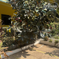 фото из отзыва ID 2719589