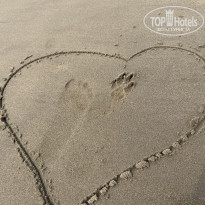 фото из отзыва ID 2719589