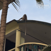 фото из отзыва ID 2719589