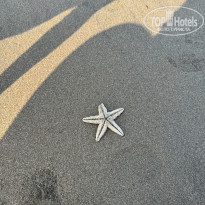 фото из отзыва ID 2719589