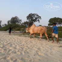 фото из отзыва ID 2719589