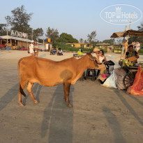 фото из отзыва ID 2719589