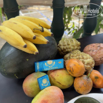 фото из отзыва ID 2719589