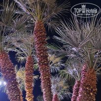 фото из отзыва ID 2719595