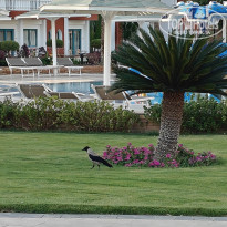 фото из отзыва ID 2719595