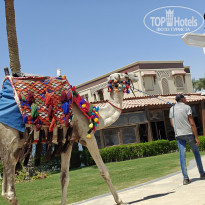 фото из отзыва ID 2719595