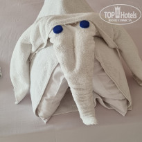 фото из отзыва ID 2719603