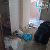 фото из отзыва ID 2719612