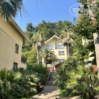 фото из отзыва ID 2719620