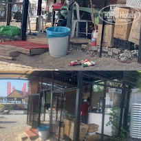 фото из отзыва ID 2719622