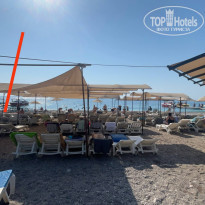 фото из отзыва ID 2719622