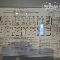 фото из отзыва ID 2719661