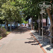 фото из отзыва ID 2719685